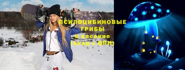 ешки Куйбышев