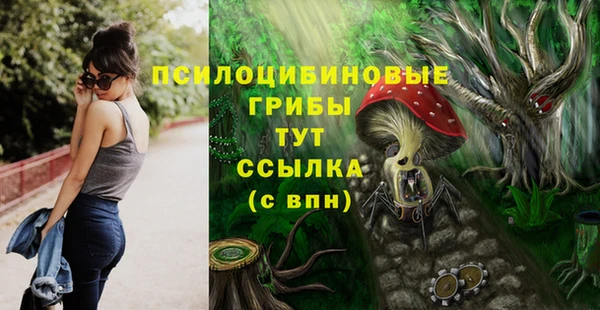 ПСИЛОЦИБИНОВЫЕ ГРИБЫ Красноперекопск