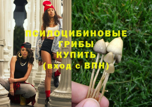 сатива Краснотурьинск