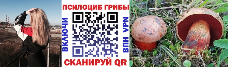 Купить  Вологда  Галлюциногенные грибы Cubensis 